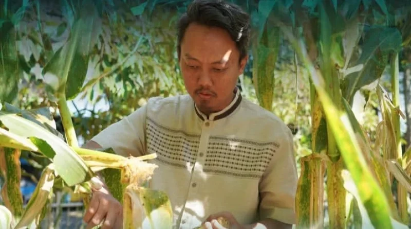 Disdukcapil Kabupaten Bandung Awali Panen Jagung GERTAMAN